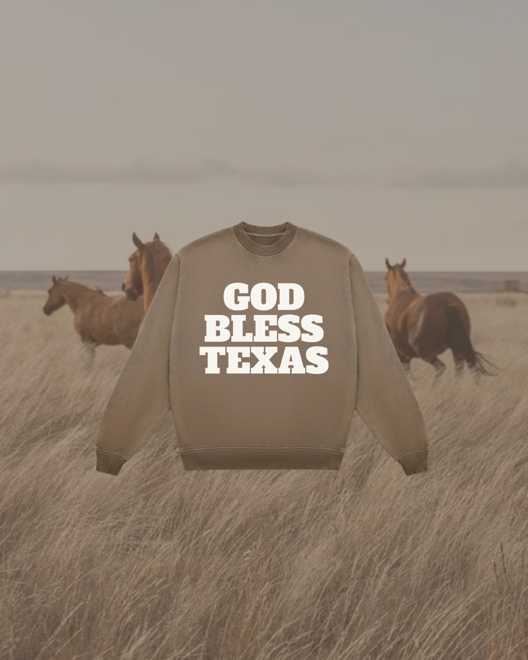 God Bless Texas Crewneck