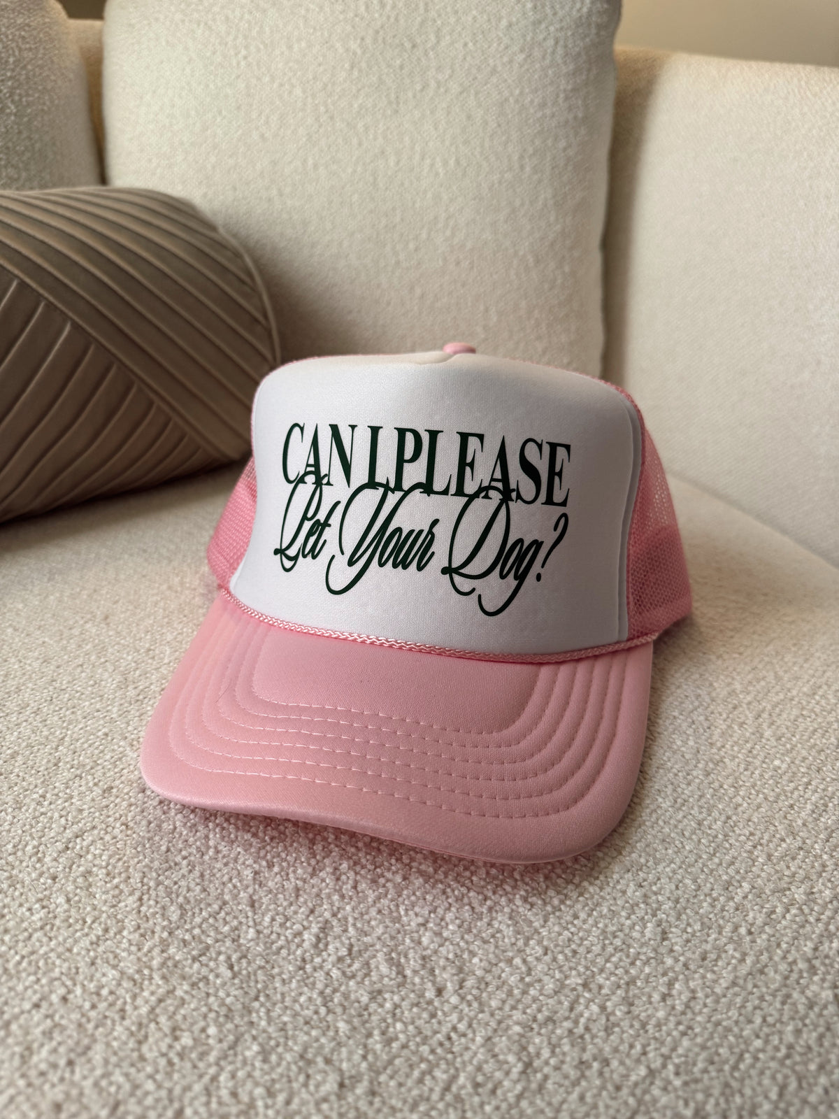 Can I Please Pet Your Dog Hat- Light Pink