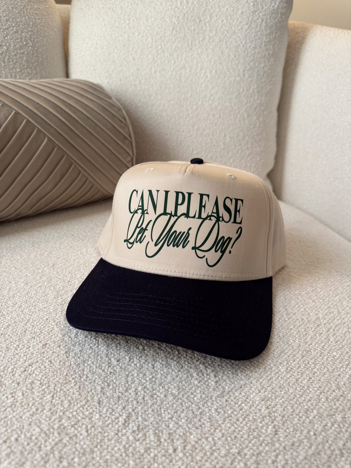 Can I Please Pet Your Dog Hat- Navy